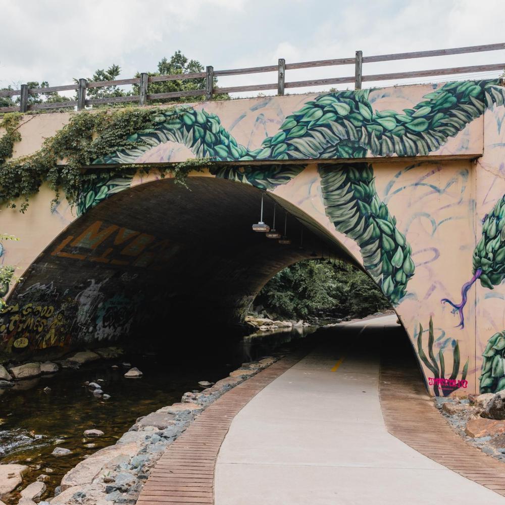 A bike path crosses underneath a bridge in Chapel Hill, North Carolina. 