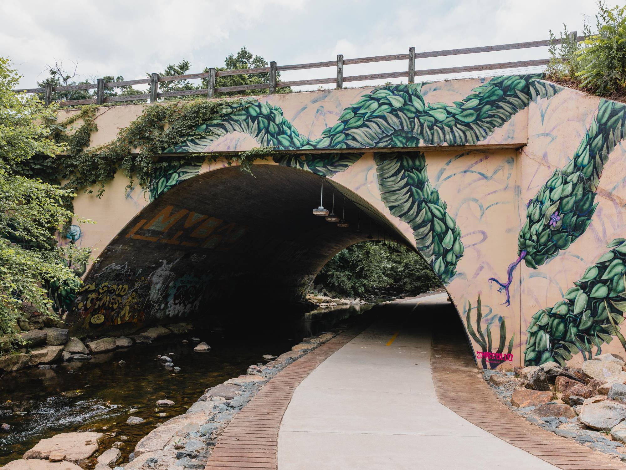 A bike path crosses underneath a bridge in Chapel Hill, North Carolina. 